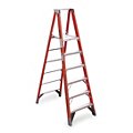 Platform Stepladders image